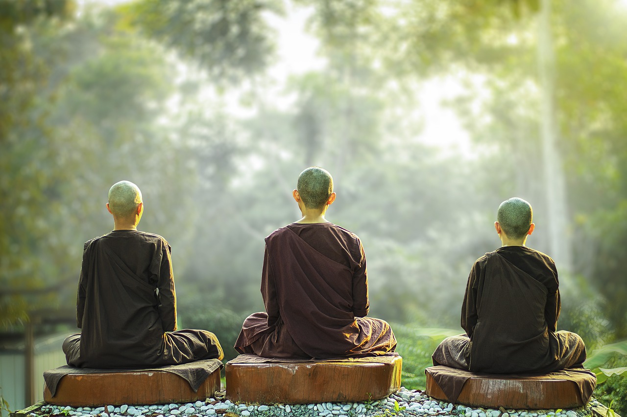 theravada buddhism  nuns  meditation free photo
