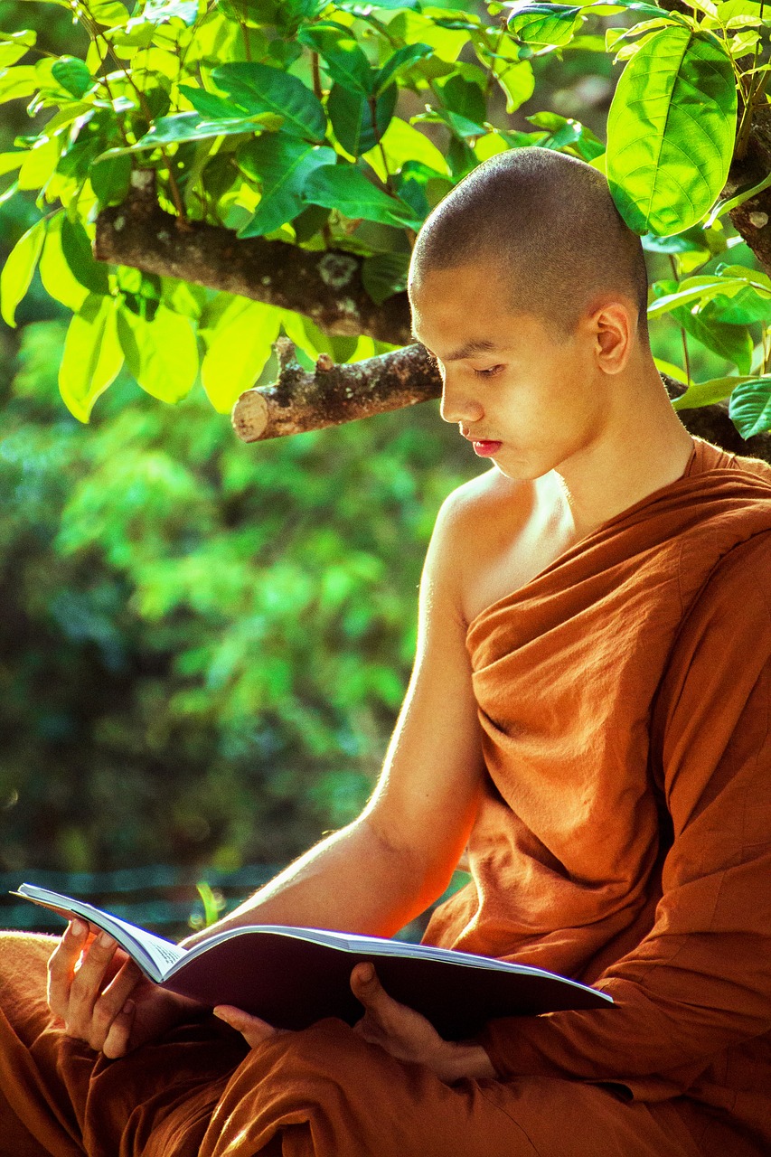 theravada monk buddhist religion free photo