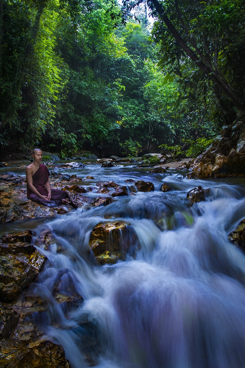 theravada monk meditate meditation free photo