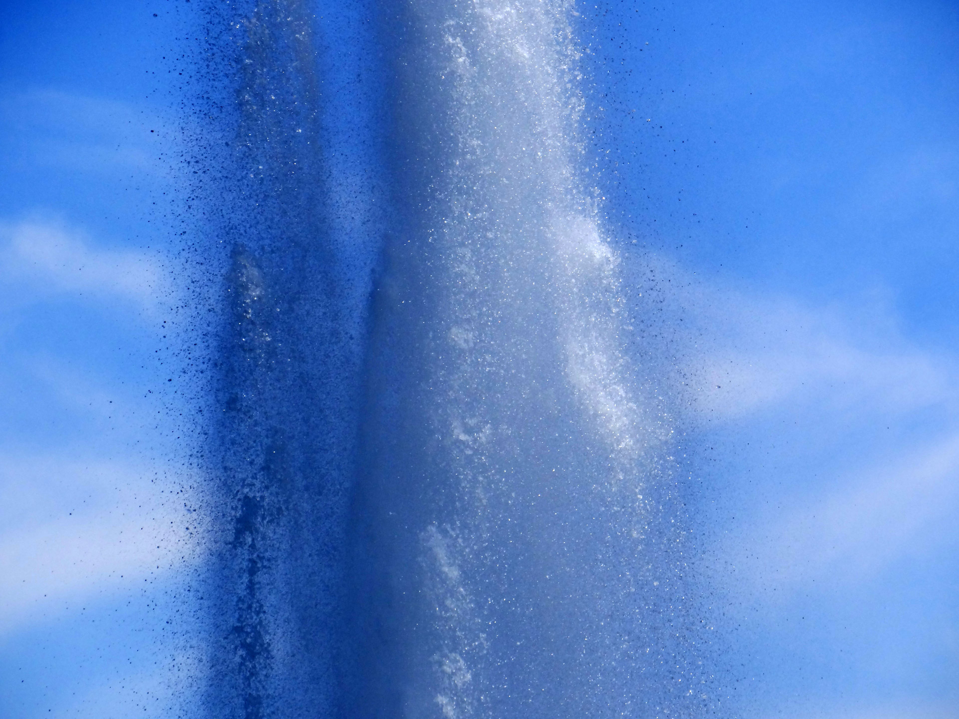 fountain zoo water free photo