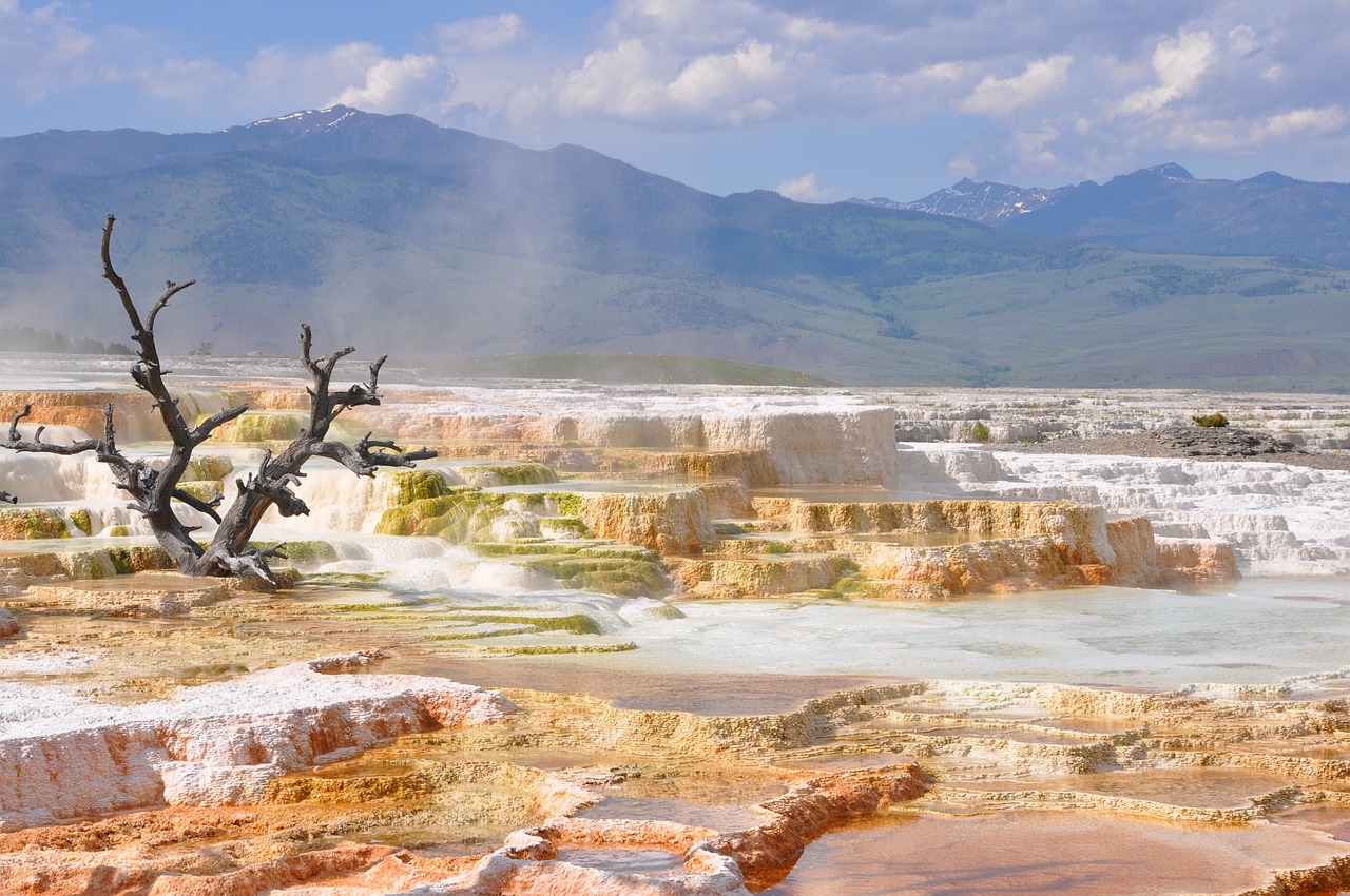 thermal hot springs yellowstone free photo