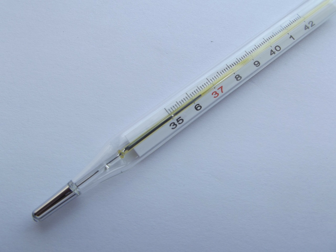 thermometer temperature instrument free photo