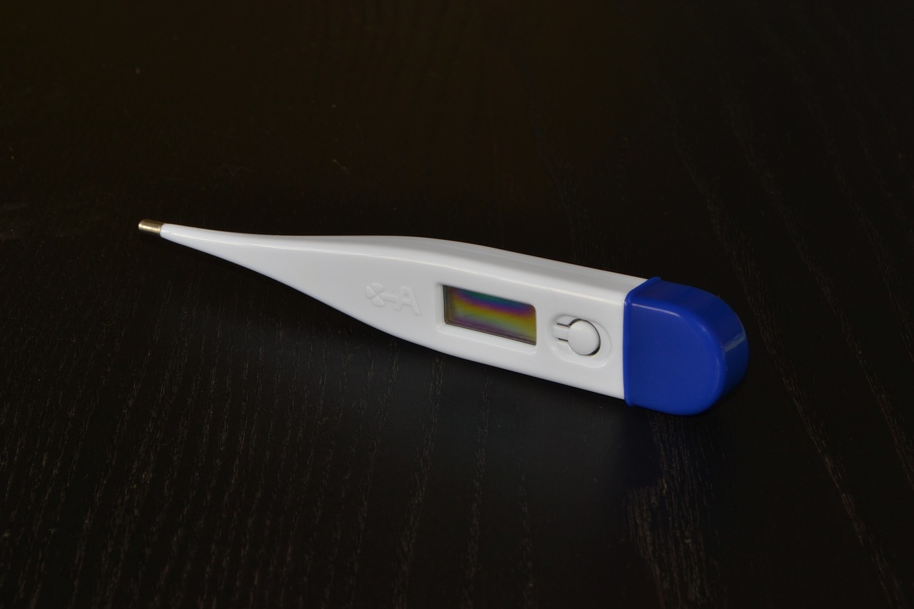 thermometer digital thermometer temperature free photo