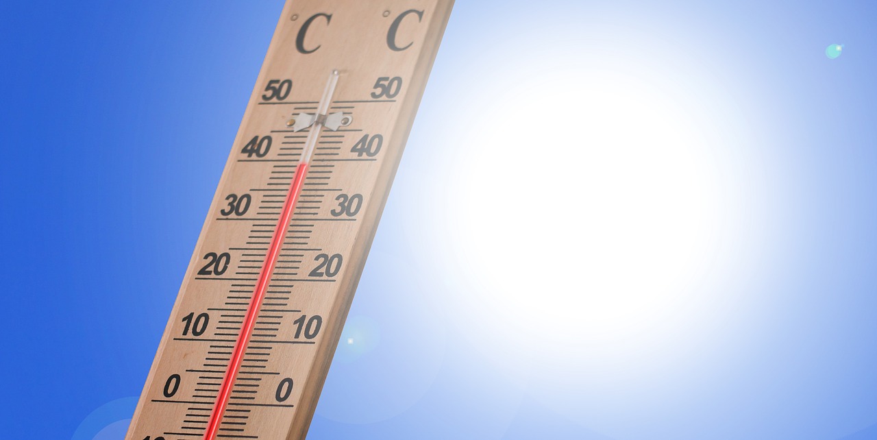 thermometer  summer  heiss free photo