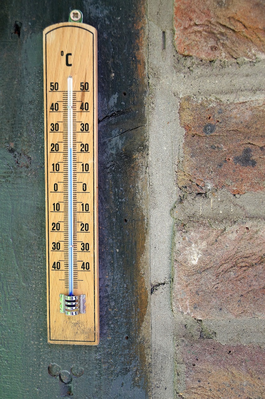 thermometer degrees celsius scale free photo