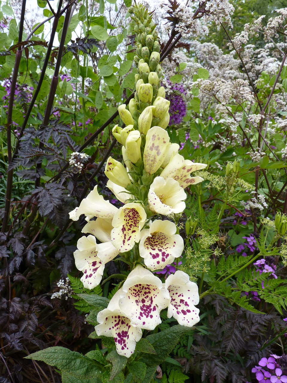 thimble yellow white free photo