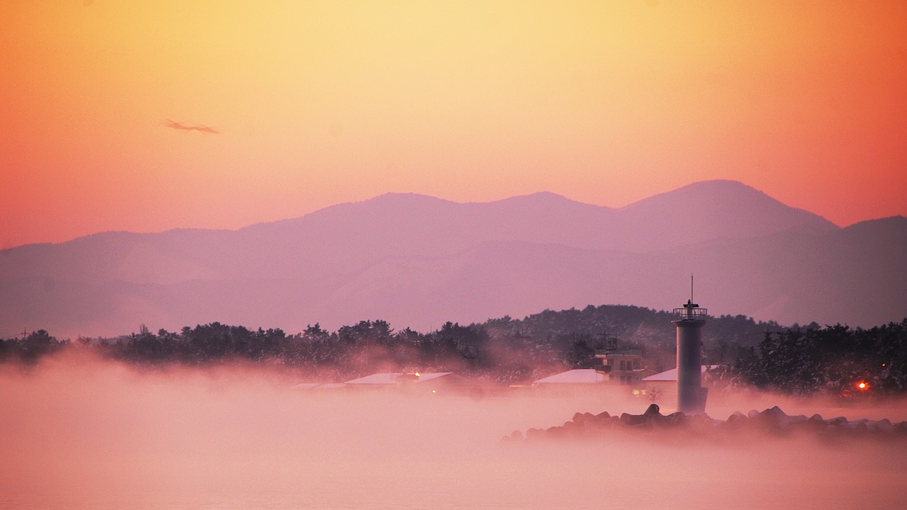 this type  dawn  fog free photo