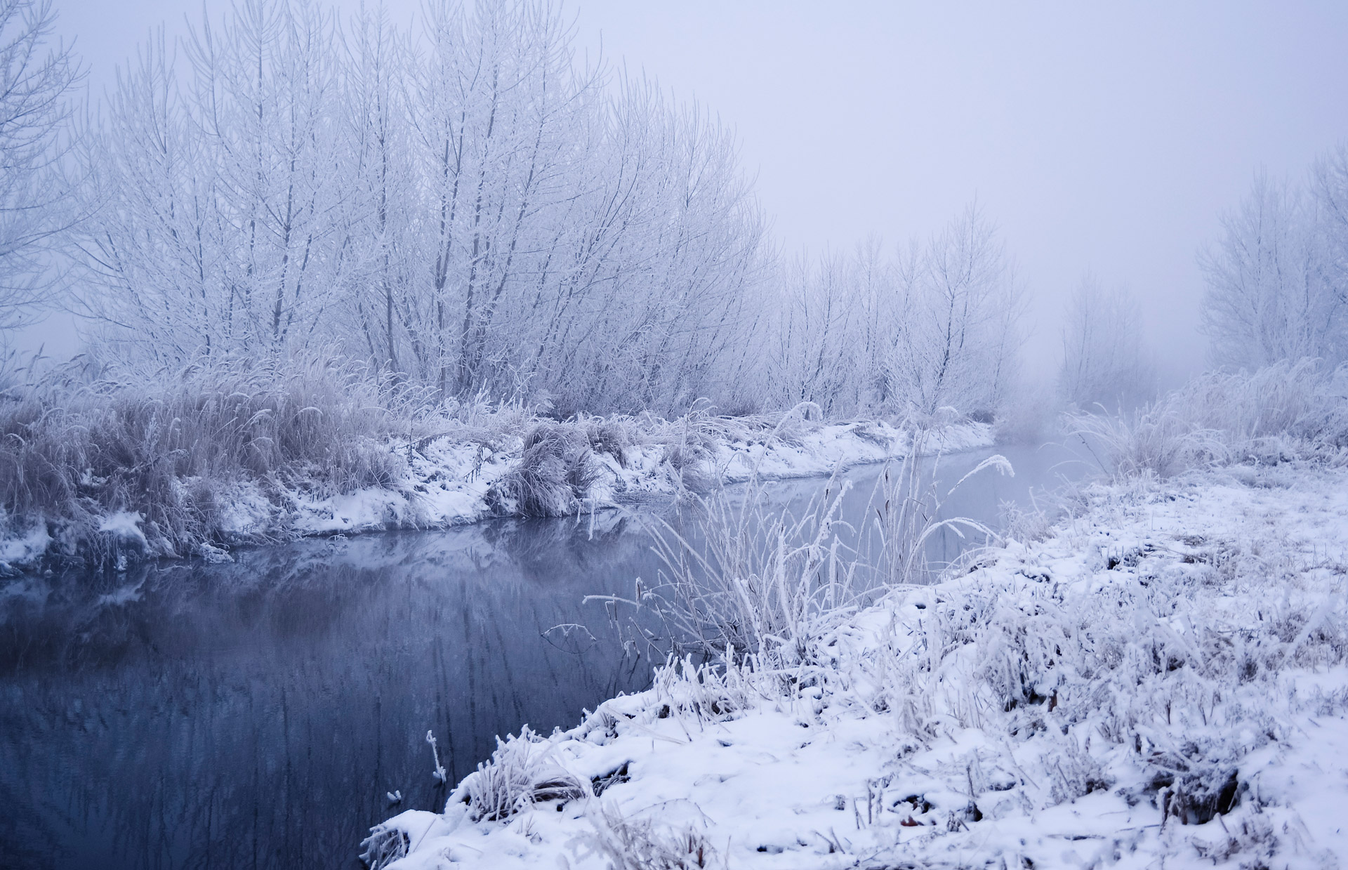 snow winter landscape free photo