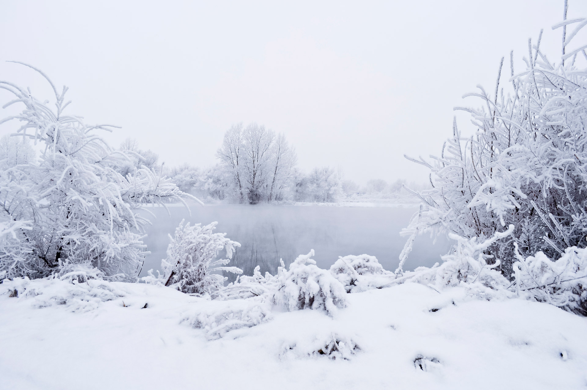 snow winter landscape free photo