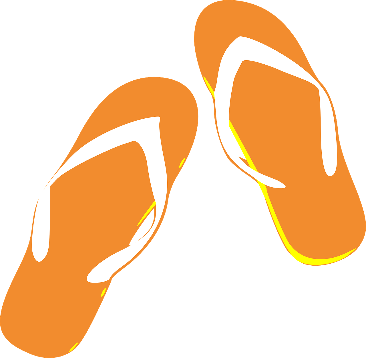 thongs flip flops sandals free photo