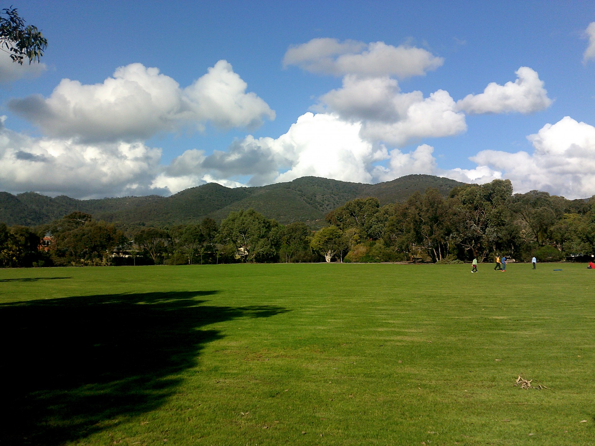 hill parkland trees free photo