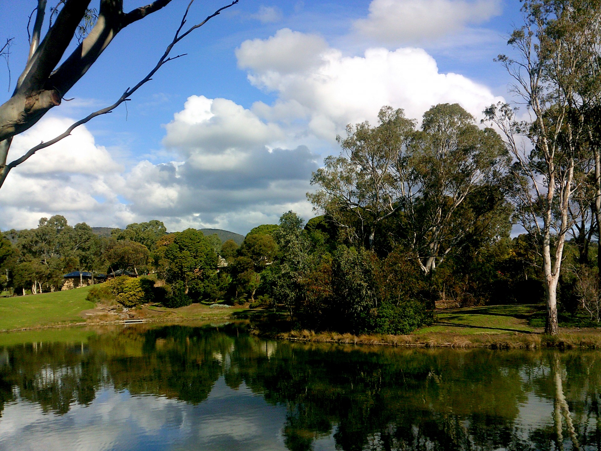 parkland trees lake free photo