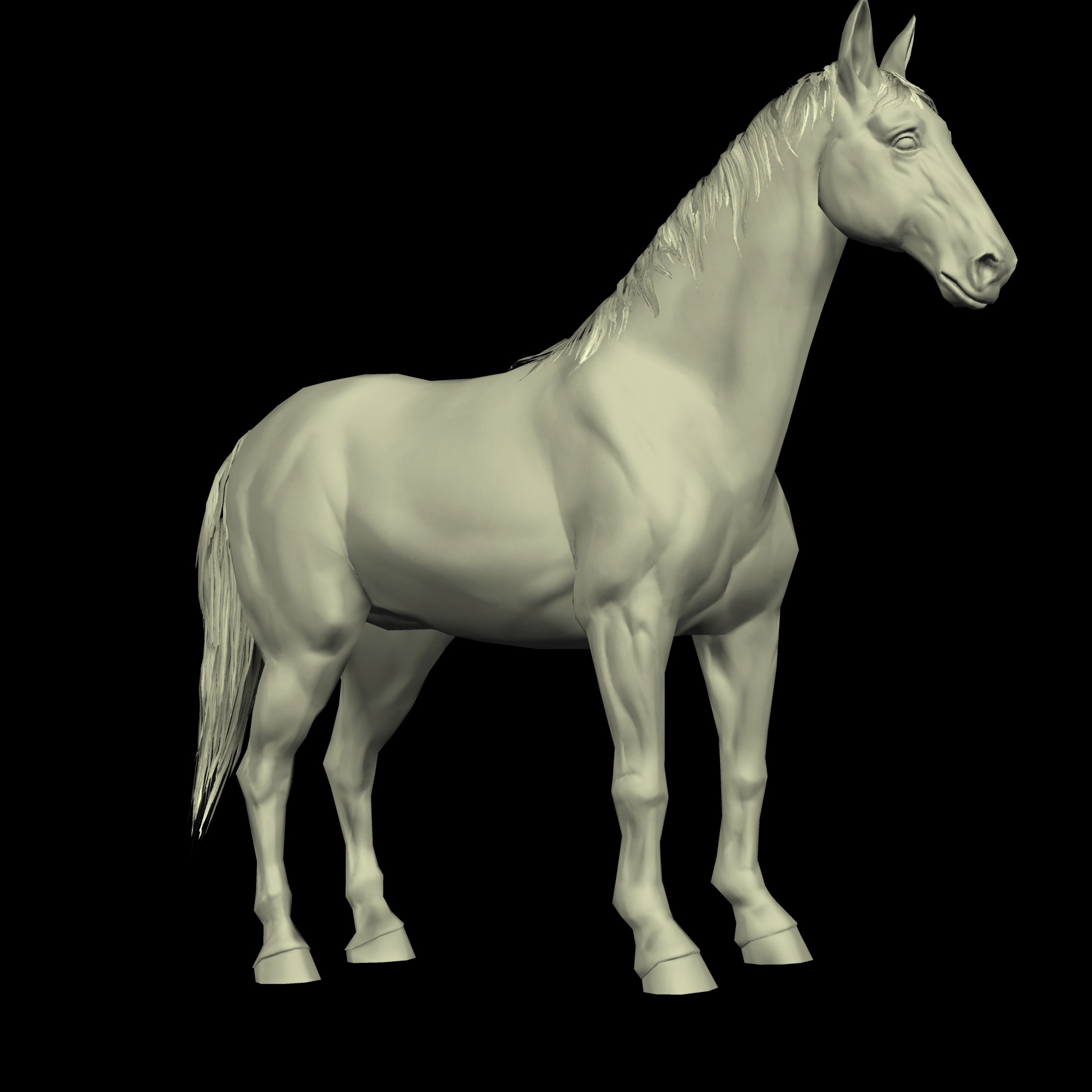 thoroughbred horse isolated free photo