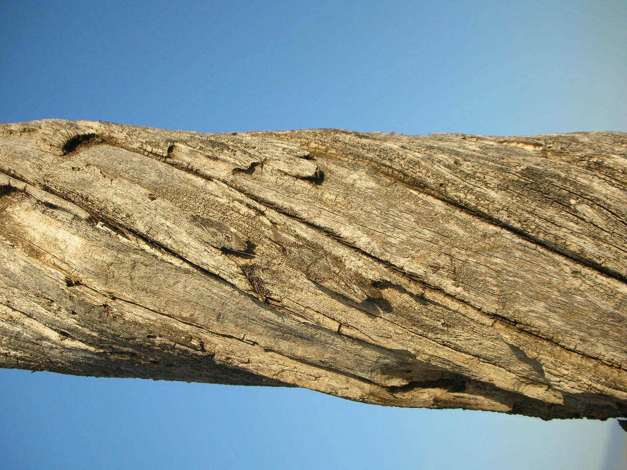 three wood texture natural free photo