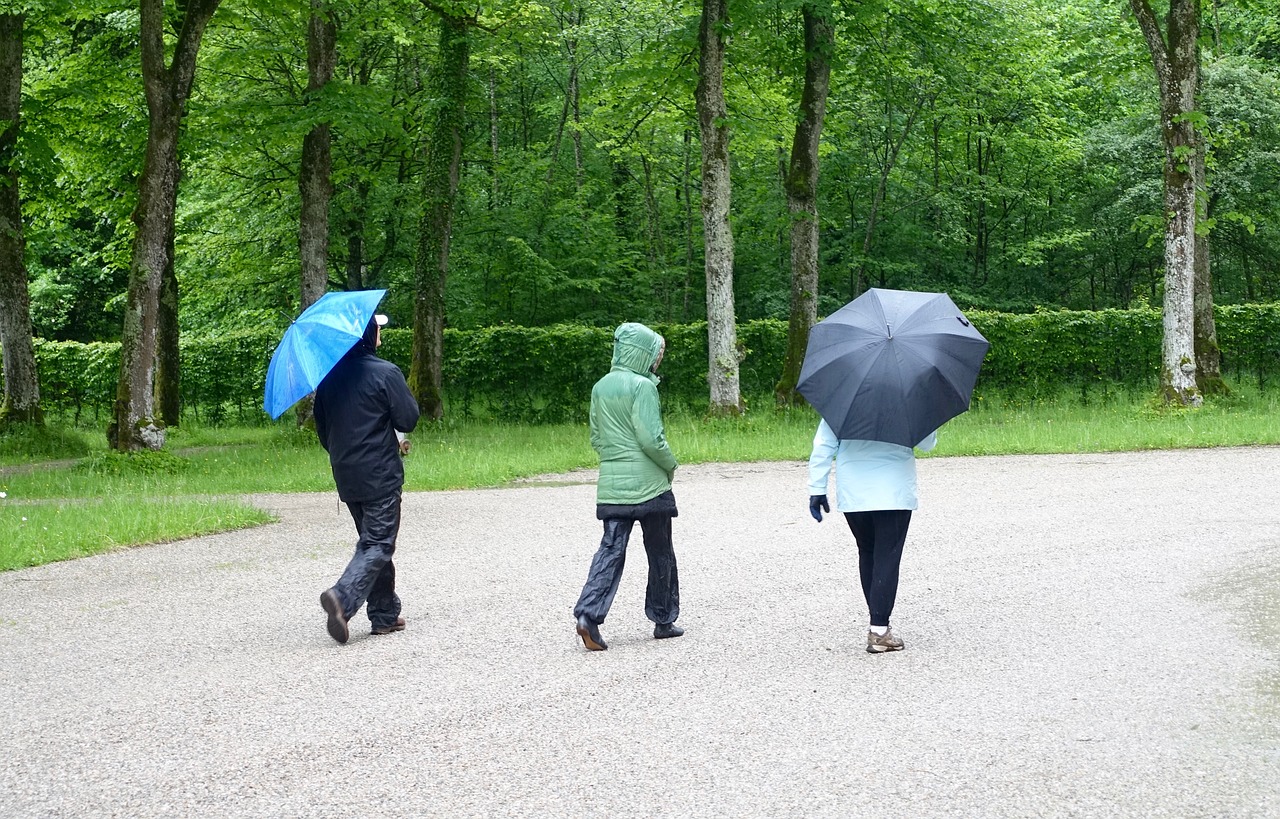 three pedestrians walking free photo