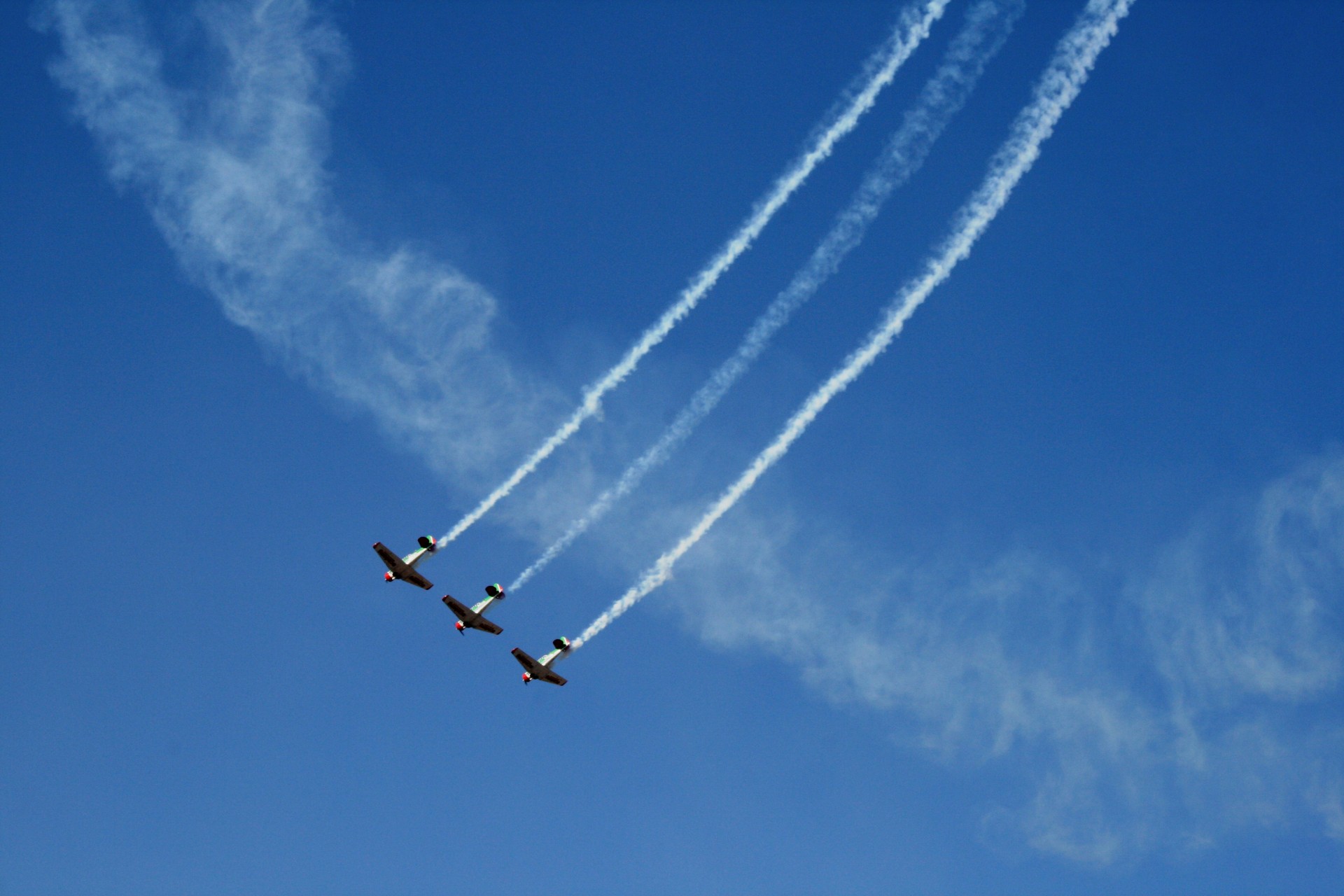 harvard air craft fixed wing free photo