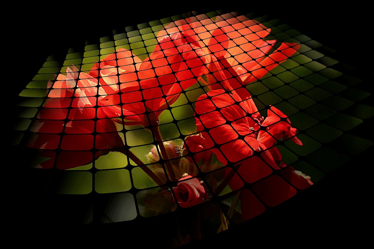 three d grid red flower free photo