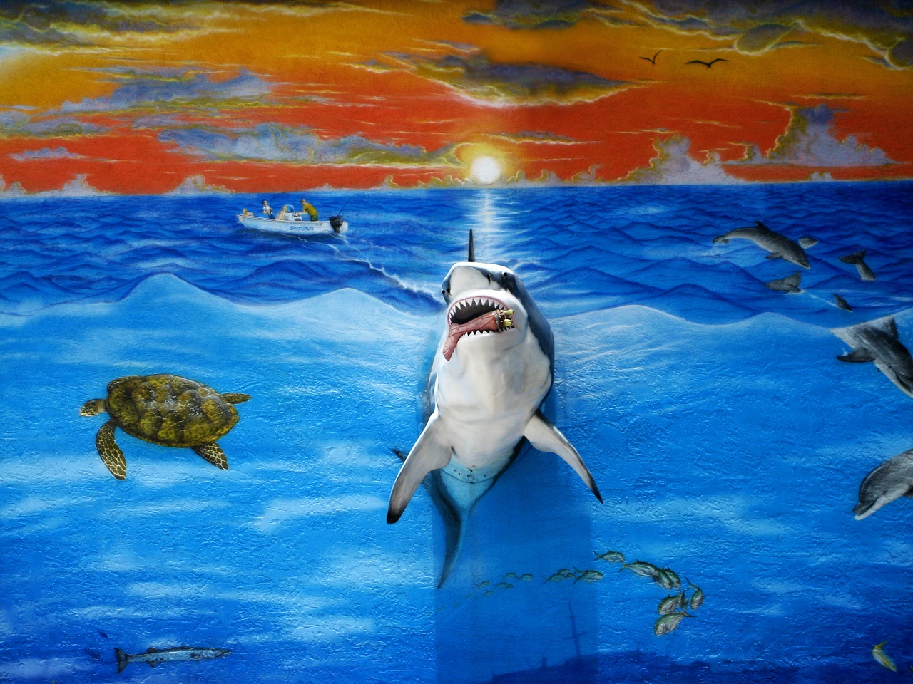 three dimensional mural florida keys shark free photo