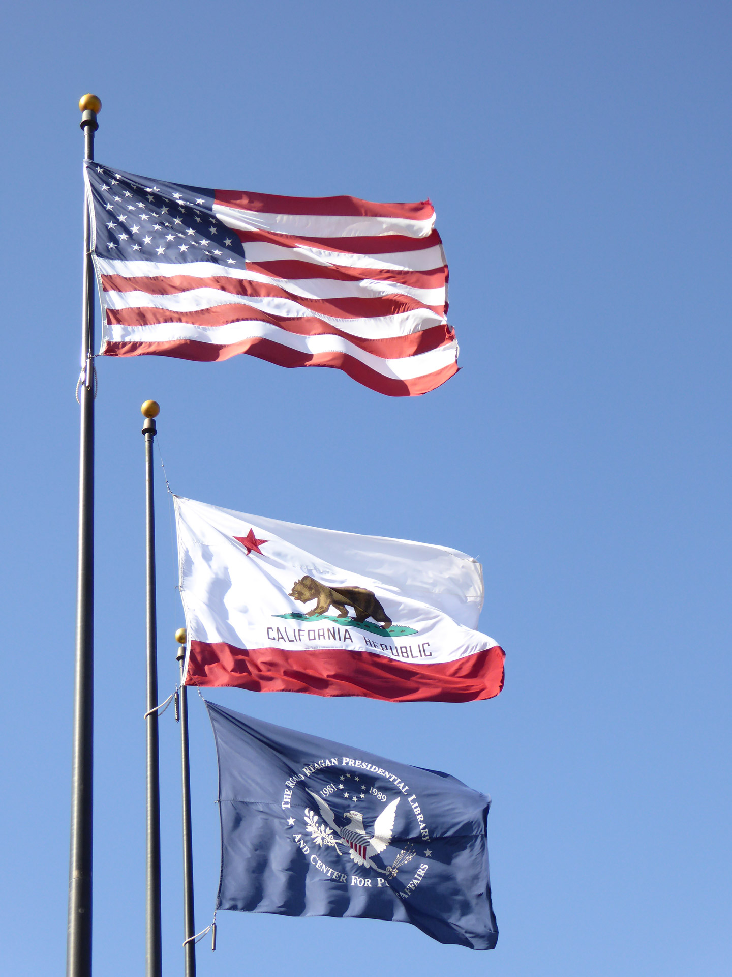 american flag state california flag americana free photo