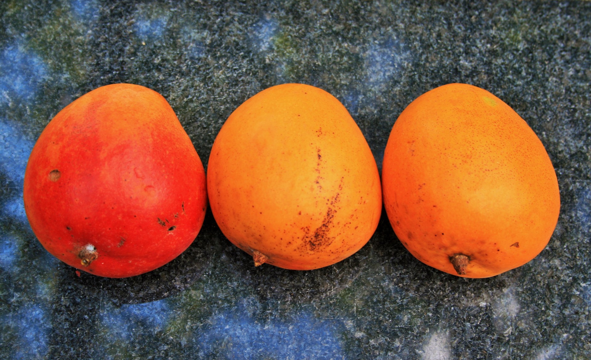 fruit mangoes round free photo