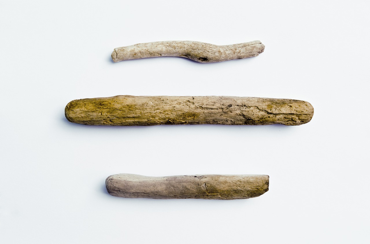 three pieces of driftwood driftwood wood free photo