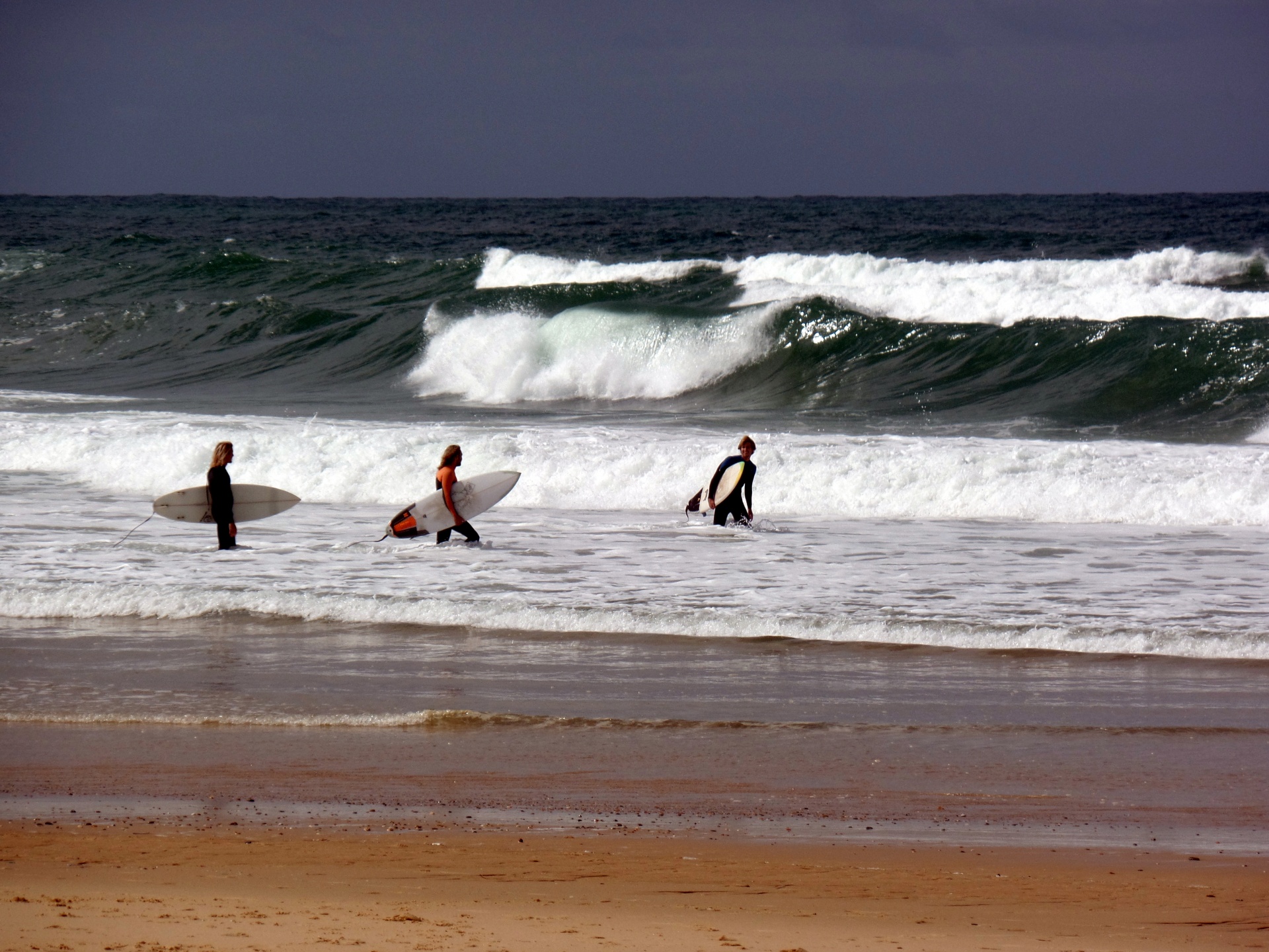 sea ocean surfer free photo