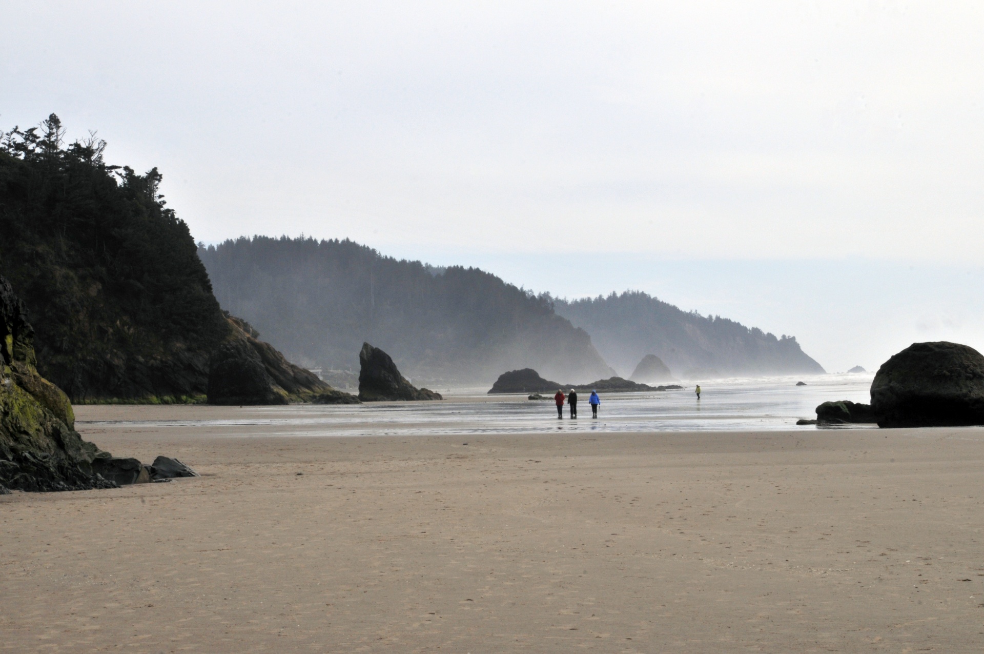 beach sea ocean free photo