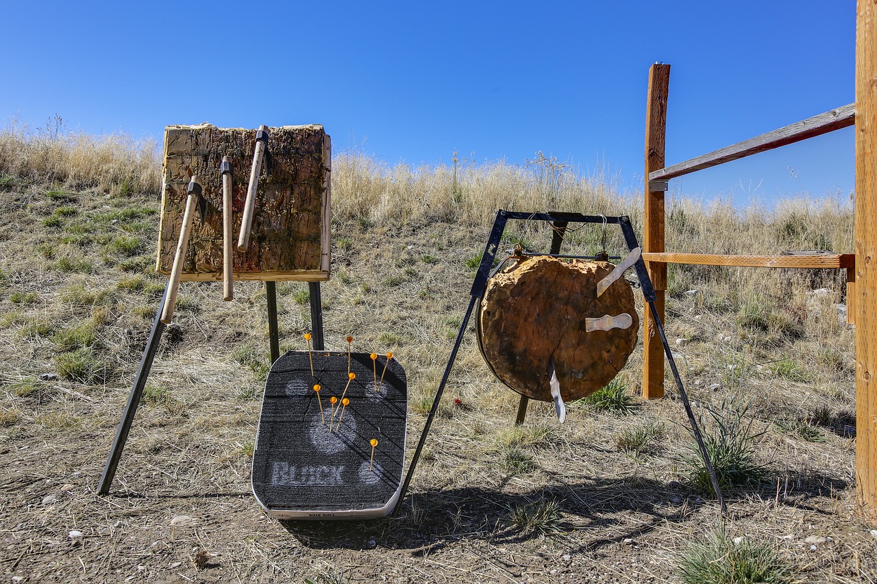 throwing knives  knife  throwing tomahawk free photo