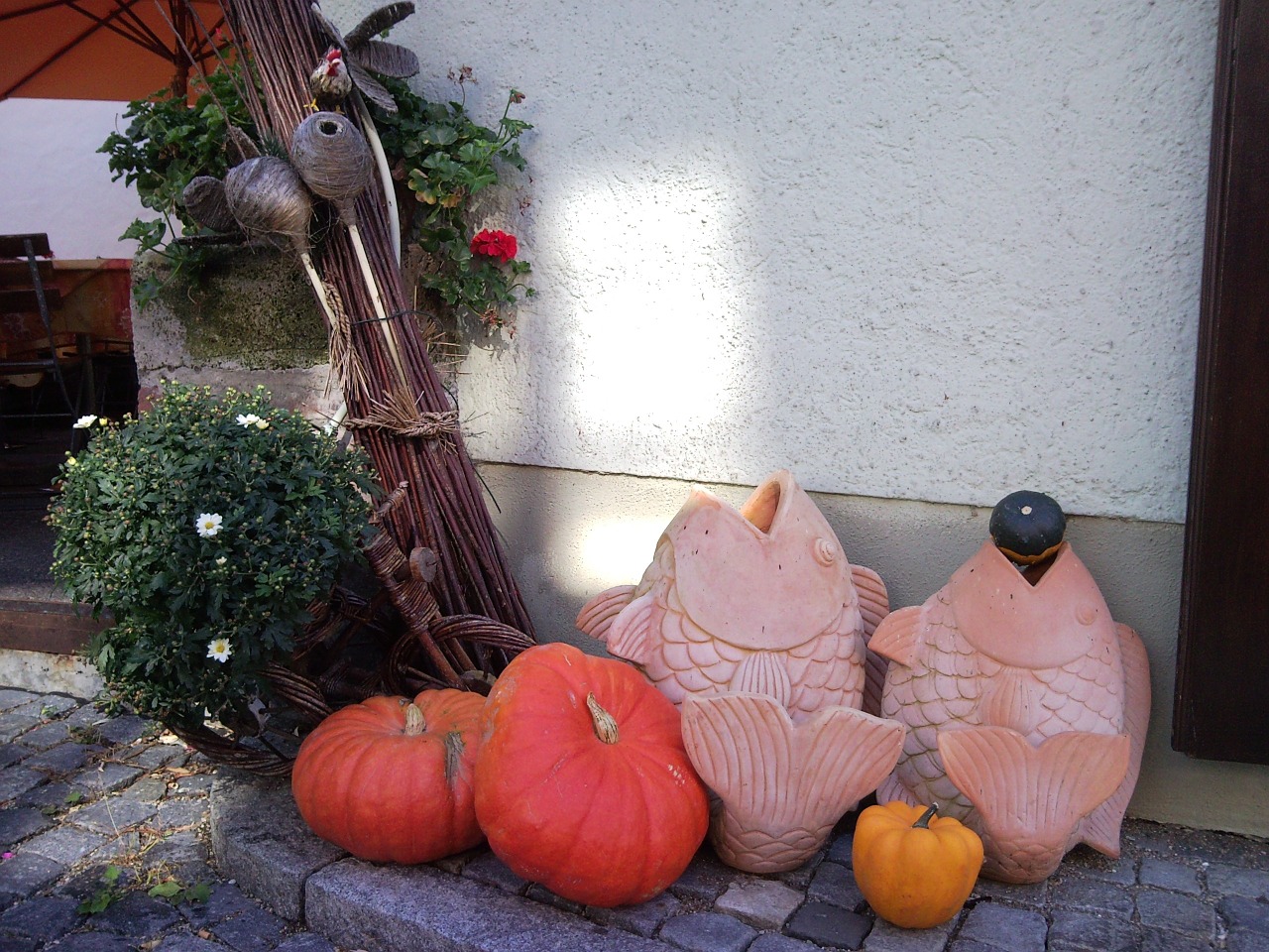 thrown fish pumpkin decoration free photo