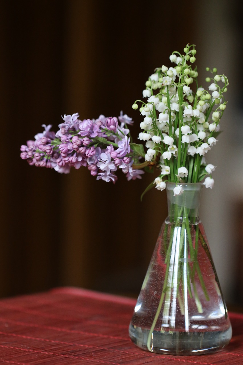 thrush  lilac  bouquet free photo