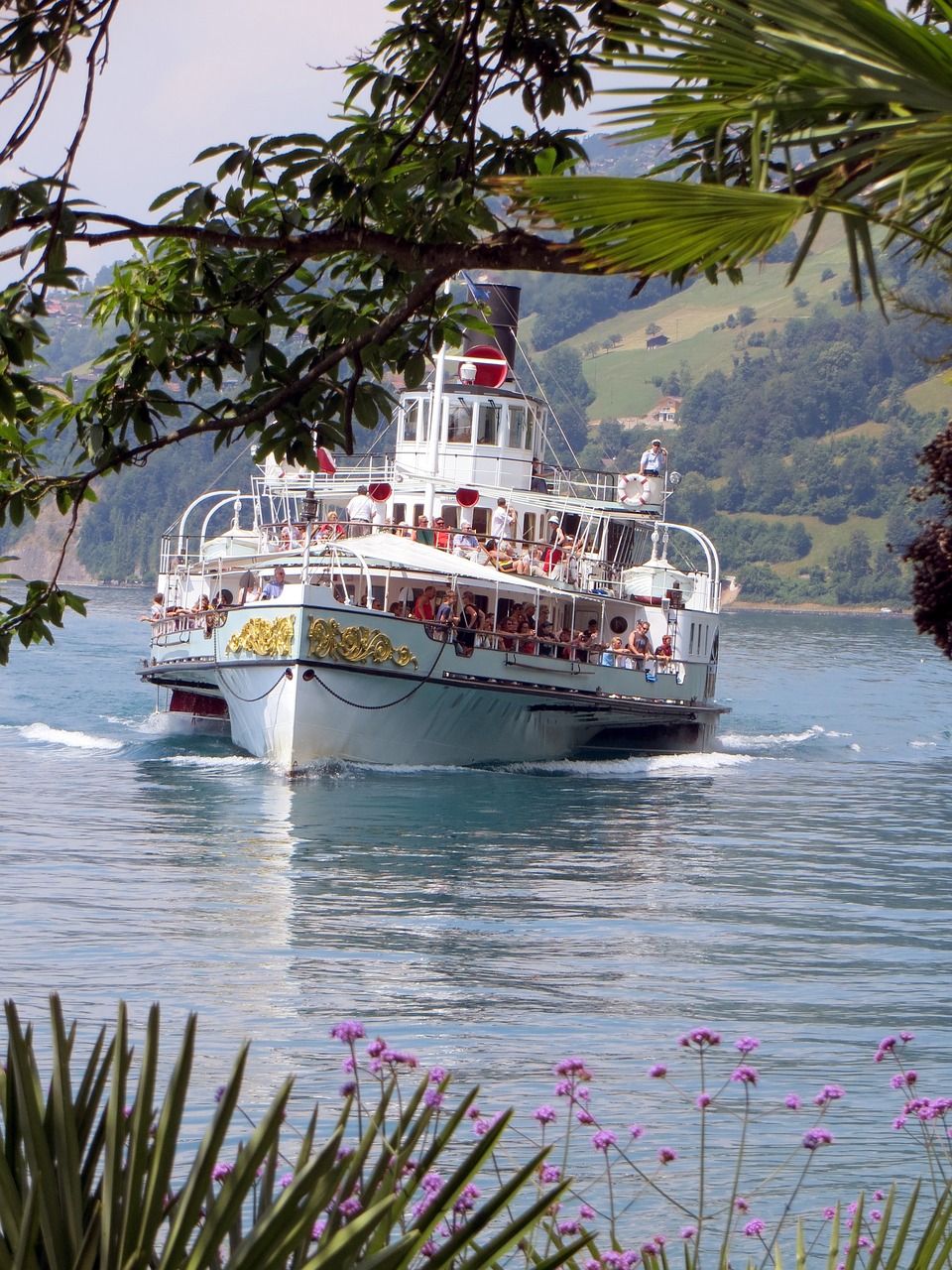 thun lake thun lake free photo