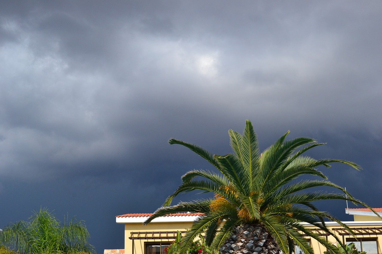 thunderstorm palma cloud free photo