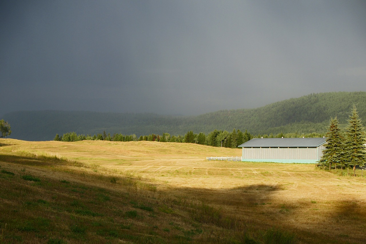 thunderstorm dark sky weather free photo