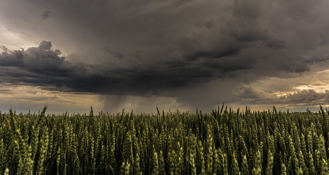 thunderstorm cloud weather free photo