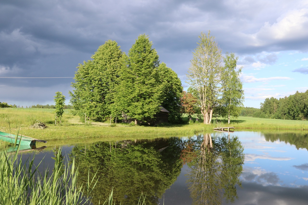 thunderstorm  nature  green free photo