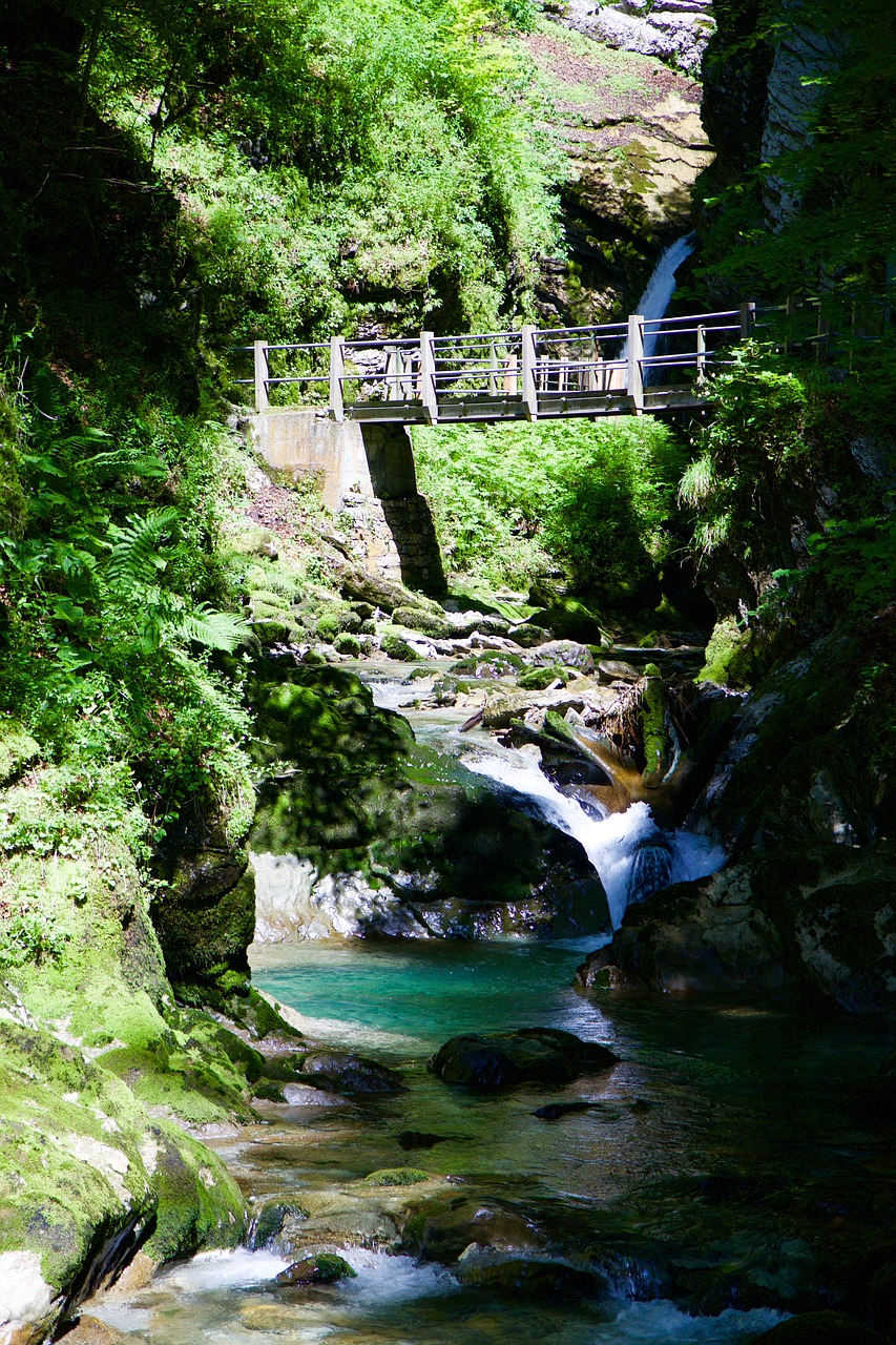 thurbach bach gorge free photo