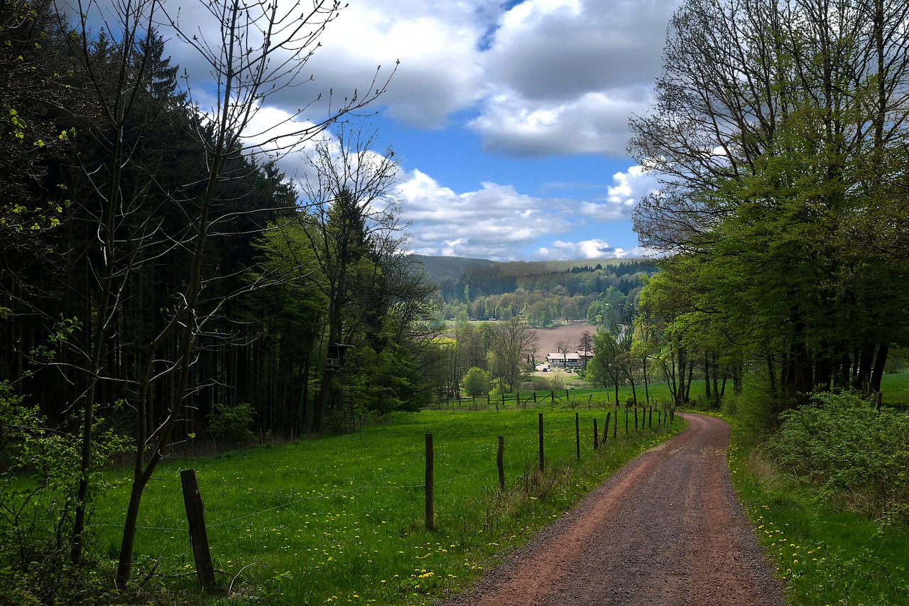 thuringia germany forest thuringian forest free photo