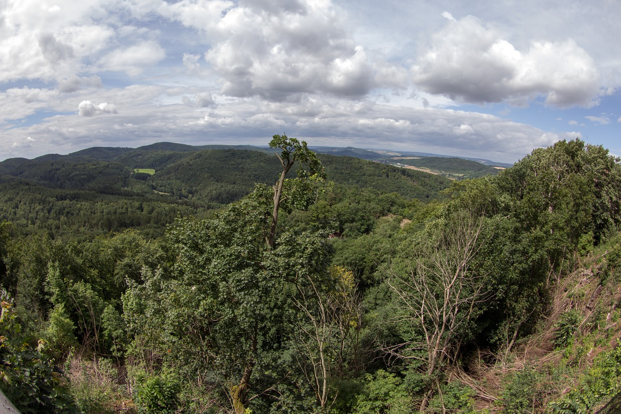 thuringia germany thuringian forest panorama free photo