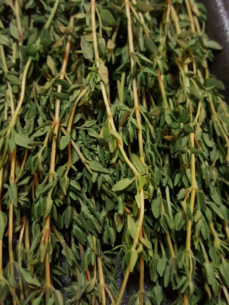 thyme green produce free photo