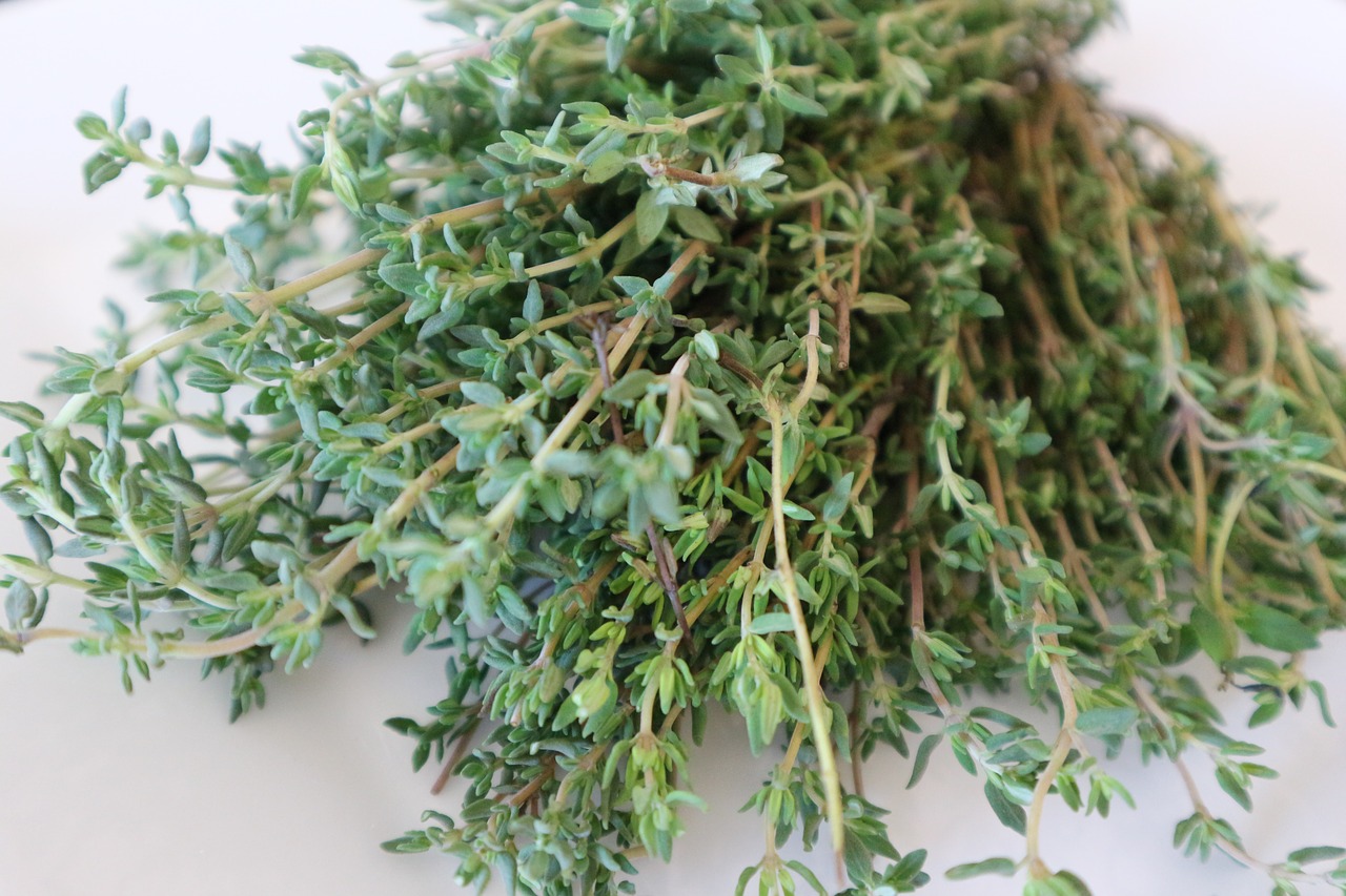 thyme medicinal herb cook free photo