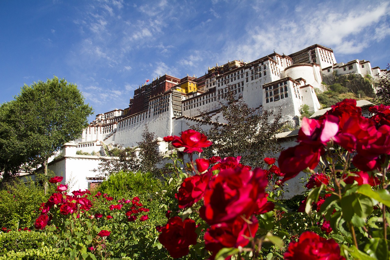 tibet contention-free pure free photo