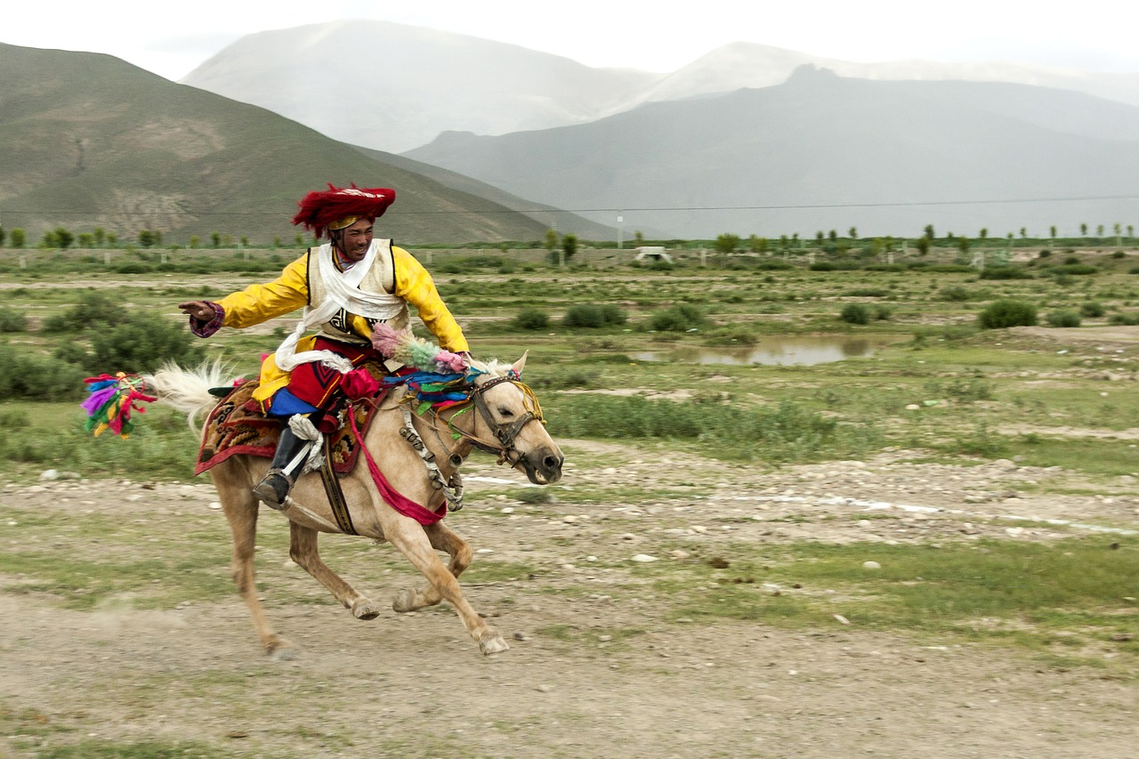 tibet  china  plateau free photo