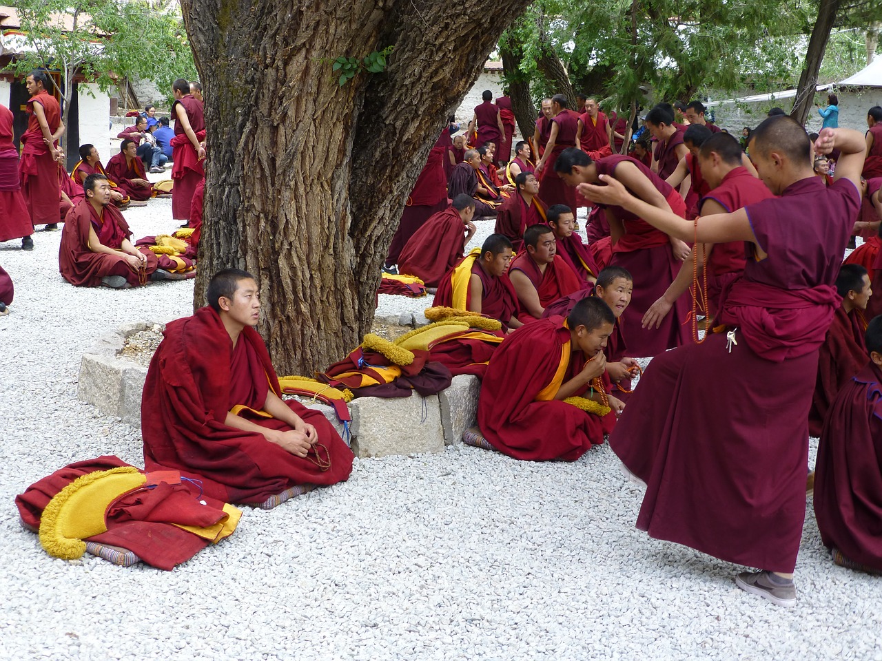 tibet sera monastery jhasa free photo