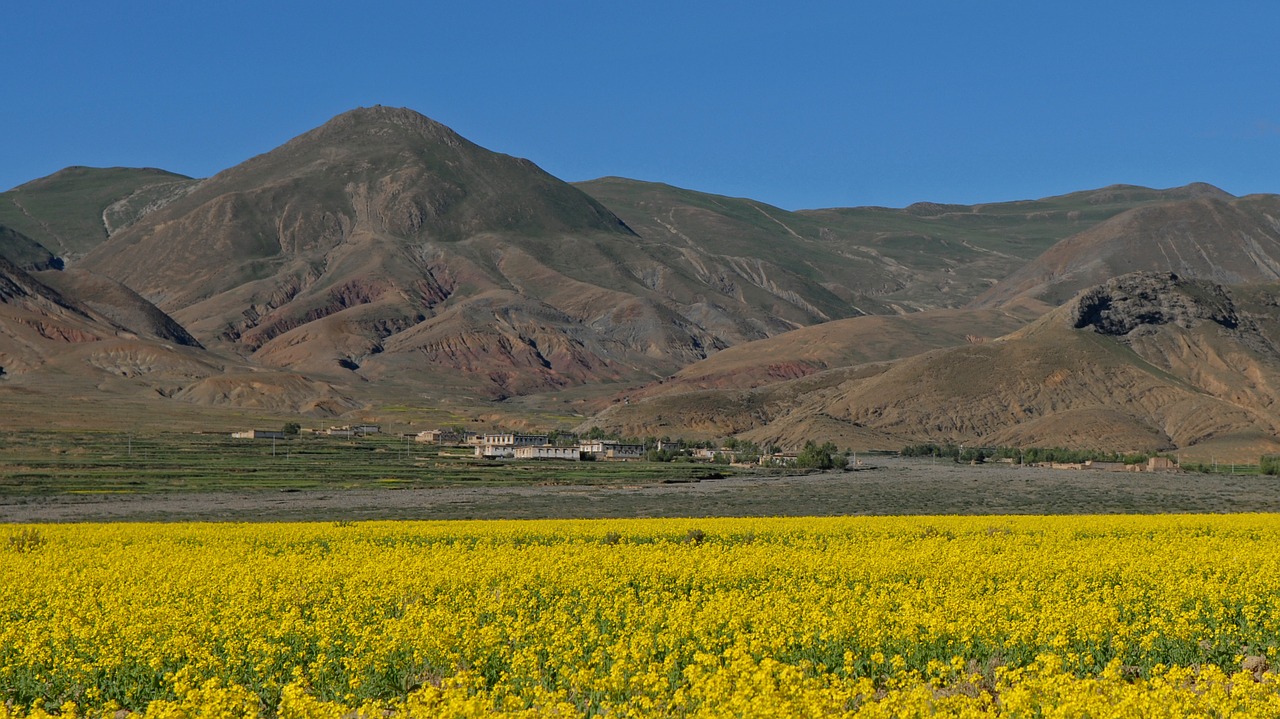 tibet landscape mountains free photo