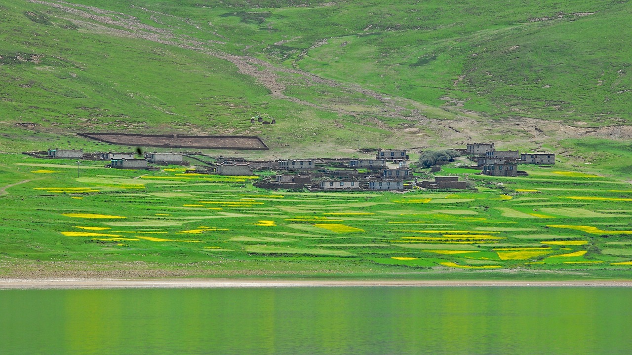 tibet landscape agriculture free photo