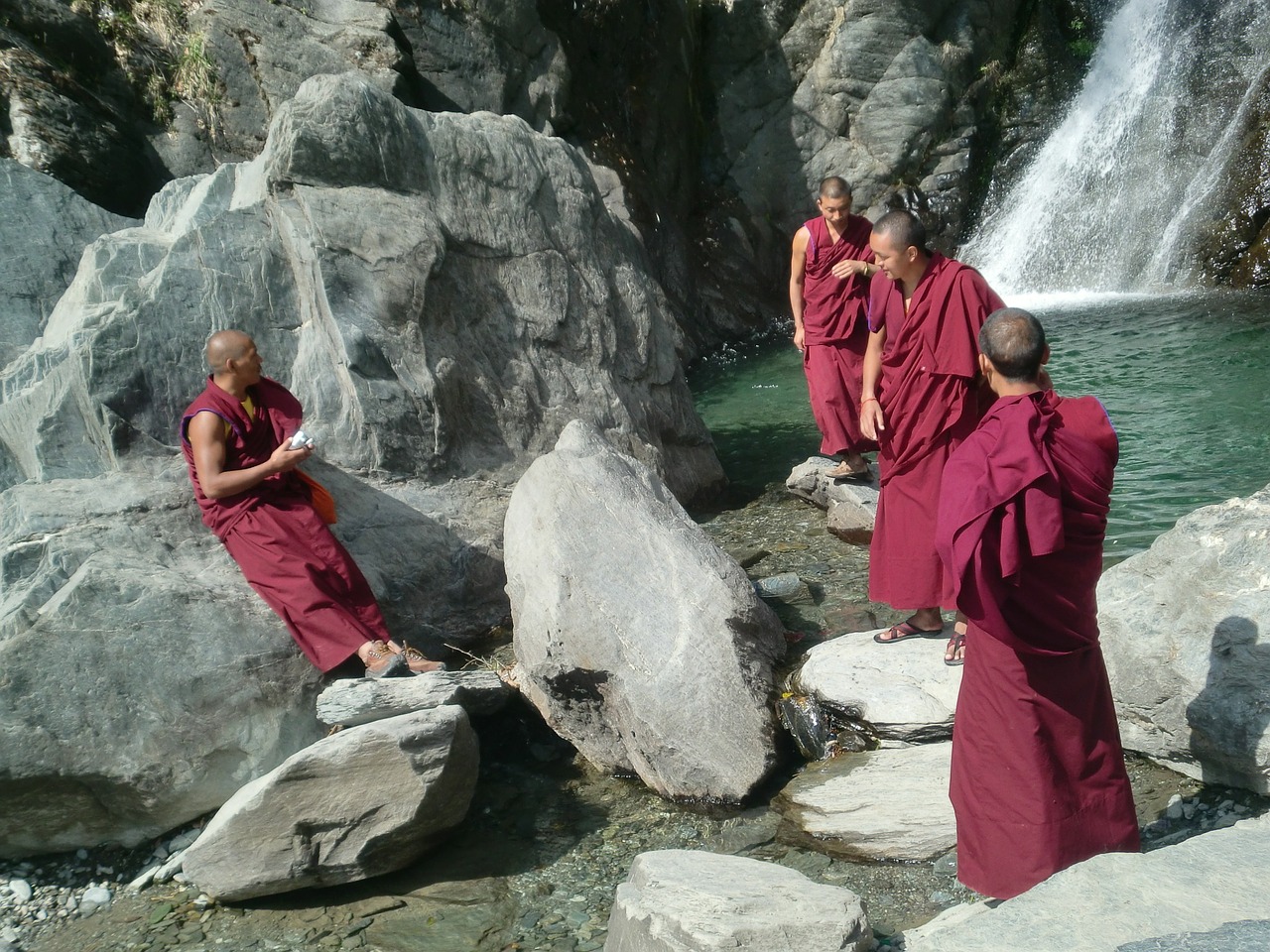 tibetan monks india free photo