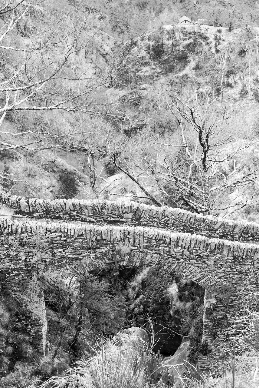 ticino maggia valley bridge free photo