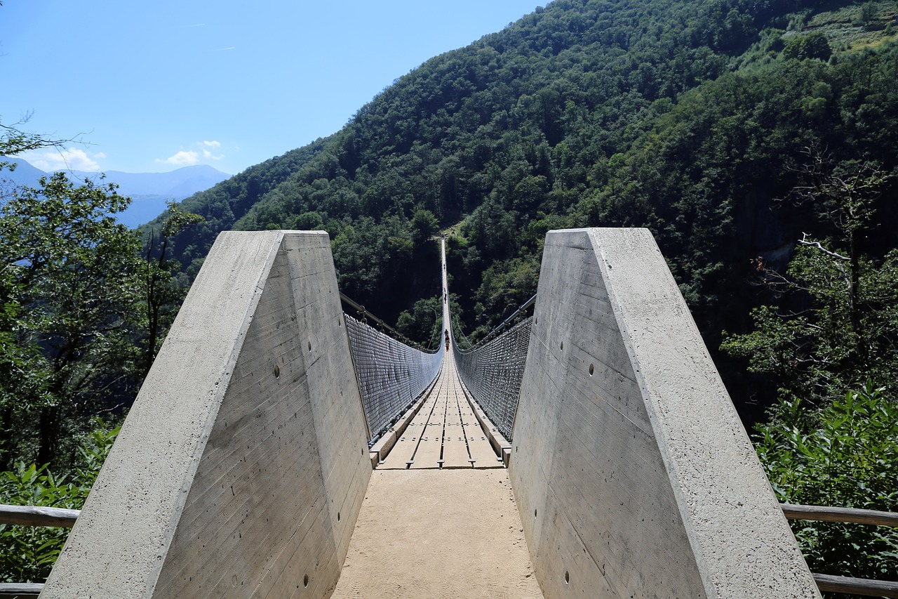 ticino  switzerland  suspension bridge free photo