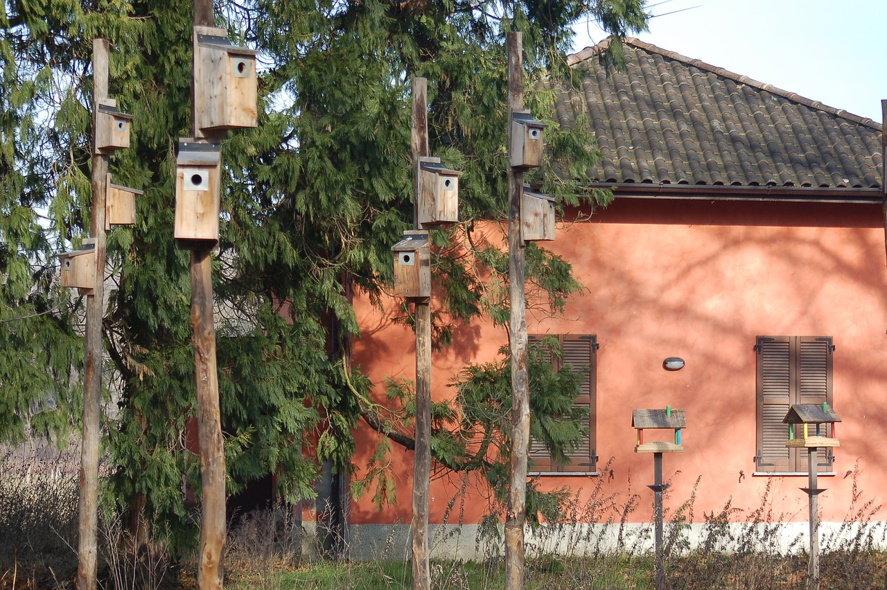 ticino park  nests  feeders free photo