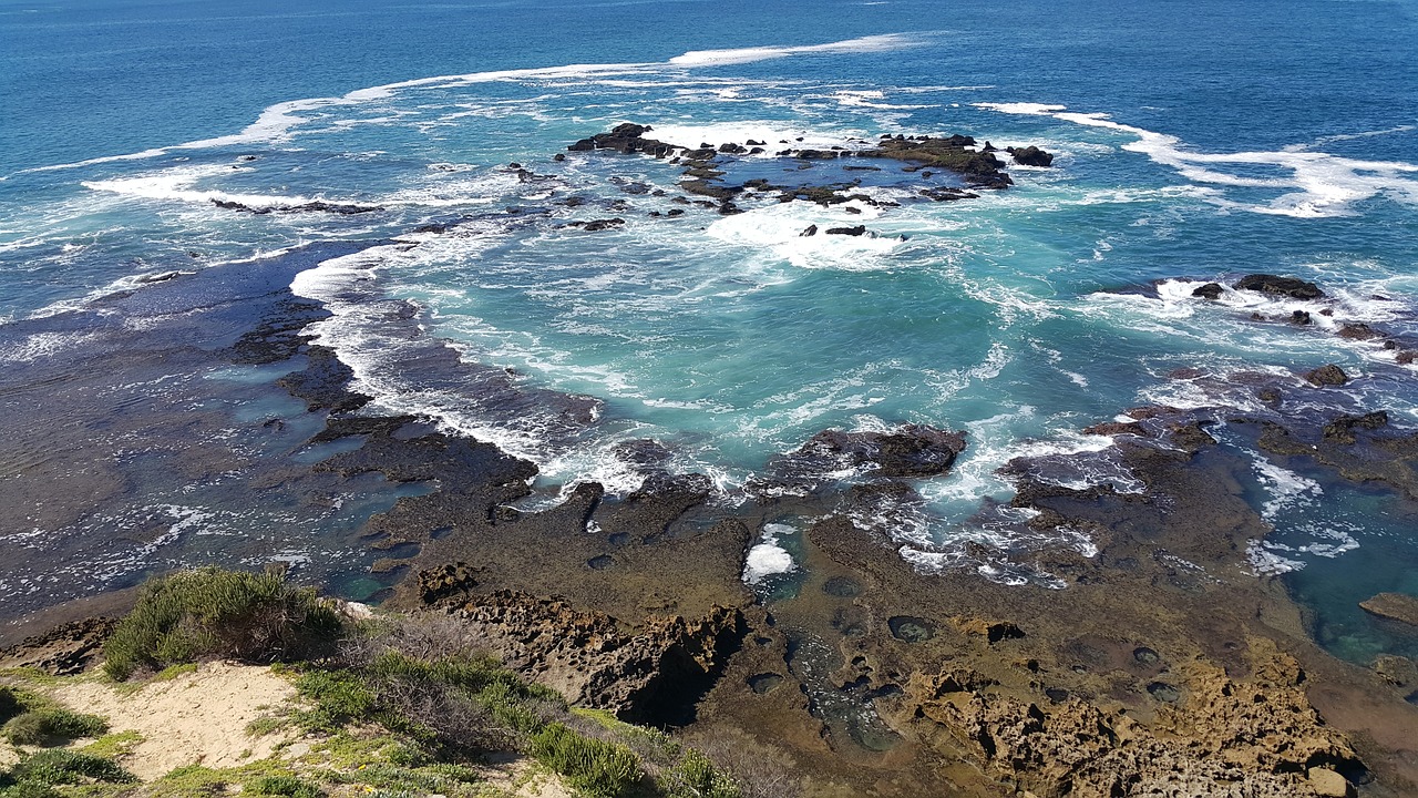 tidal pool ocean rock pool free photo